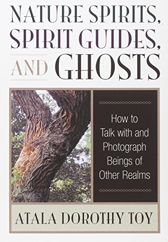 Stock image for Nature Spirits, Spirit Guides, and Ghosts: How to Talk with and Photograph Beings of Other Realms for sale by HPB-Ruby