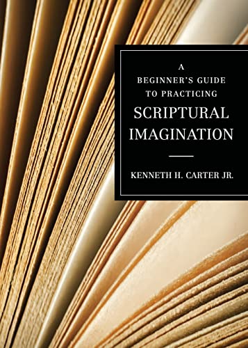 Beispielbild fr A Beginner's Guide to Practicing Scriptural Imagination zum Verkauf von Better World Books