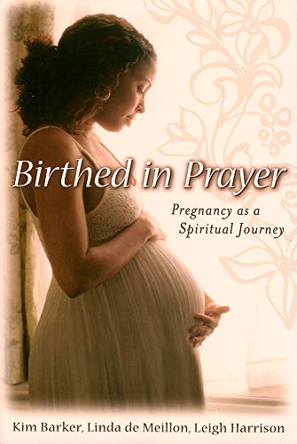 Beispielbild fr Birthed in Prayer : Pregnancy as a Spiritual Journey zum Verkauf von Better World Books