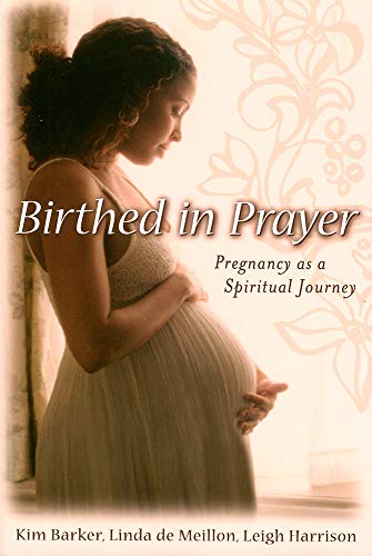 Stock image for Birthed in Prayer : Pregnancy as a Spiritual Journey for sale by Better World Books
