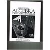 Stock image for Algebra for College Students (3rd Edition) for sale by gigabooks