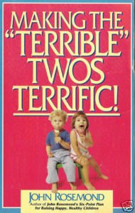 Stock image for Making the Terrible Twos Terrific! for sale by ThriftBooks-Dallas