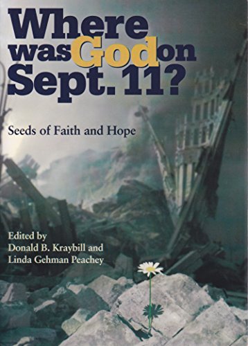 Imagen de archivo de Where Was God on September 11: Seeds of Faith and Hope a la venta por Wonder Book