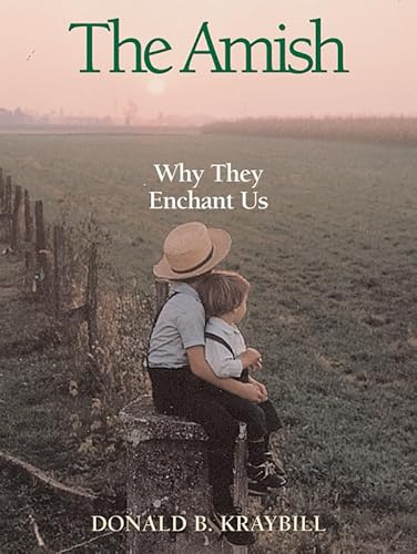 Imagen de archivo de The Amish: Why They Enchant Us a la venta por HPB-Diamond