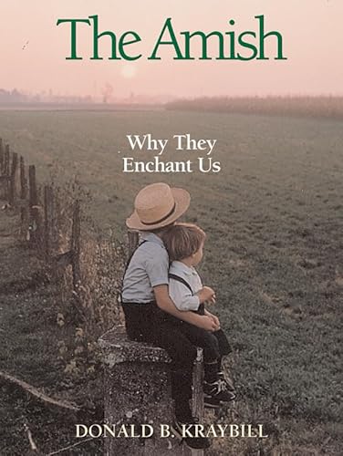 Stock image for The Amish: Why They Enchant Us for sale by HPB-Diamond