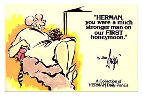 Beispielbild fr Herman, You Were a Much Stronger Man on Our First Honeymoon zum Verkauf von Wonder Book