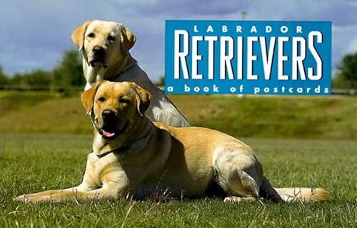 Labrador Retrievers: A Book of Postcards (9780836222197) by Unknown Author