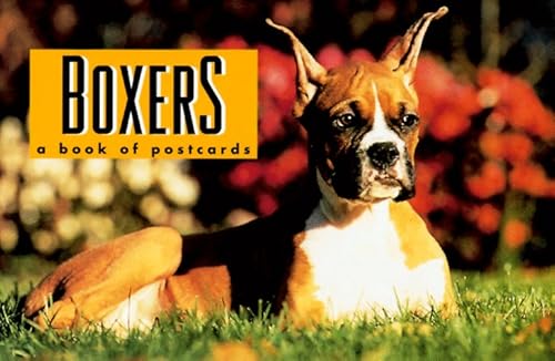 9780836228830: Boxers