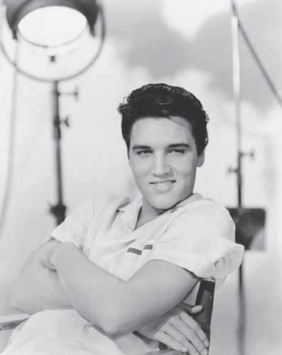 Stock image for Elvis for sale by SecondSale