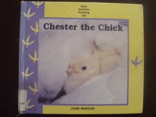 Chester the Chick (Baby Animals Growing Up) (9780836802047) by Burton, Jane