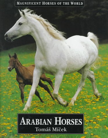 Beispielbild fr Arabian Horses zum Verkauf von ThriftBooks-Dallas