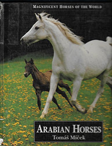 Stock image for Arabian Horses for sale by ThriftBooks-Atlanta
