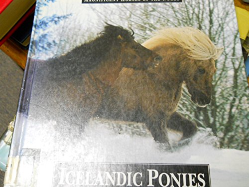 Imagen de archivo de Icelandic Ponies a la venta por Better World Books