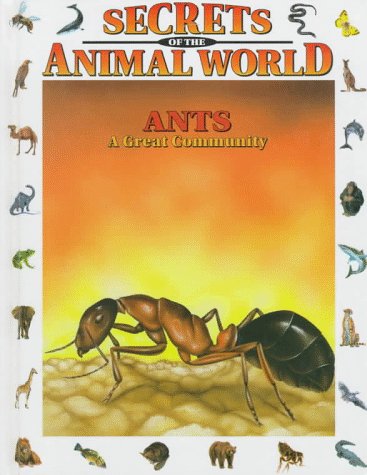 Stock image for Ants : A Great Community for sale by Better World Books