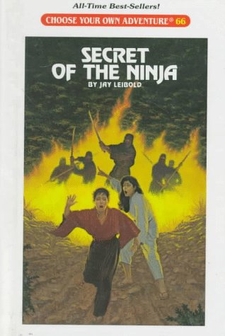 Stock image for Secret of the Ninja for sale by ThriftBooks-Atlanta