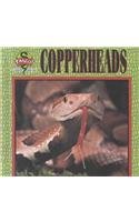 Stock image for Copperheads (Fangs!) for sale by Wonder Book