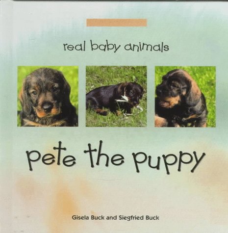 Stock image for Pete the Puppy for sale by Better World Books