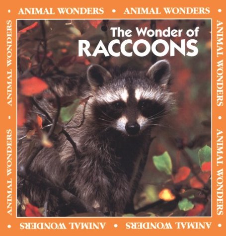 Stock image for The Wonder of Raccoons (Animal Wonders) for sale by The Book Beast
