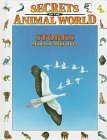 9780836815870: Storks: Majestic Migrators (Secrets of the Animal World)