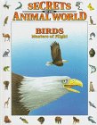 Stock image for Birds : Masters of Flight for sale by Better World Books