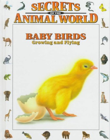Stock image for Baby Birds : Growing and Flying for sale by Better World Books