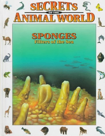 Stock image for Sponges : Filters of the Sea for sale by Better World Books: West