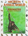 Stock image for Primates : A Higher Intelligence for sale by Better World Books: West
