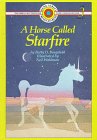 9780836817638: A Horse Called Starfire: Level 3 (BANK STREET READY-T0-READ)