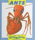 Stock image for Ants for sale by Better World Books: West