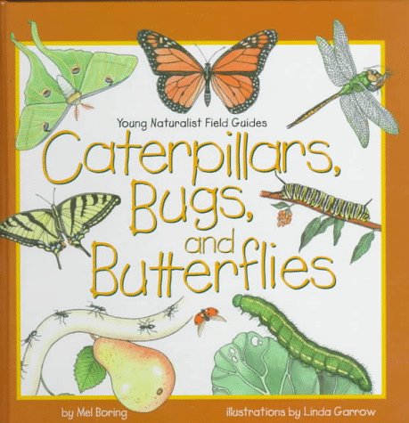 Imagen de archivo de Caterpillars, Bugs, and Butterflies (Young Naturalist Field Guides) a la venta por HPB-Emerald