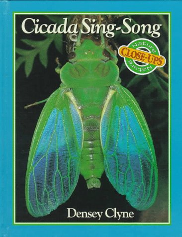 Imagen de archivo de Cicada Sing-Song a la venta por Better World Books