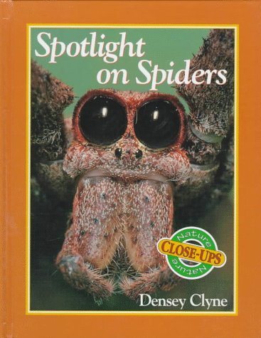 Beispielbild fr Spotlight on Spiders zum Verkauf von Better World Books