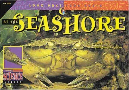 Stock image for At the Seashore for sale by Better World Books