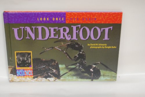 Imagen de archivo de Underfoot a la venta por Better World Books