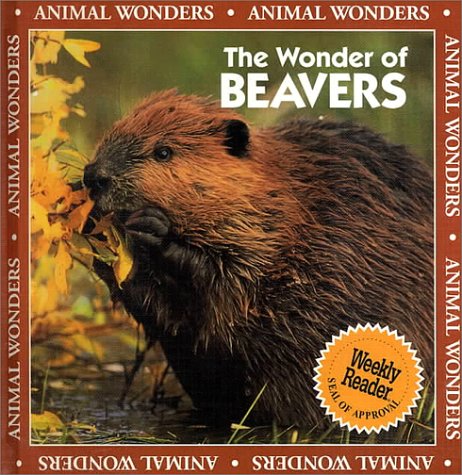 Stock image for The Wonder of Beavers (Animal Wonders) for sale by Booksavers of MD