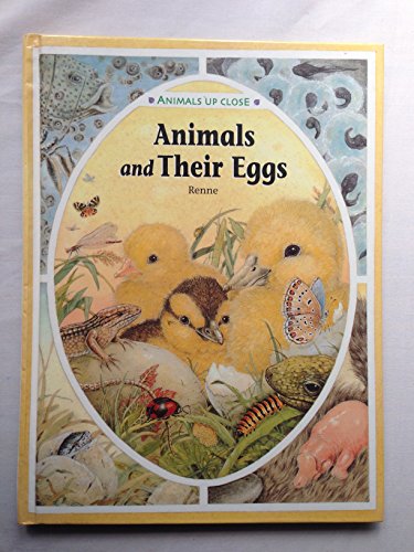 Stock image for Animals and Their Eggs for sale by Better World Books