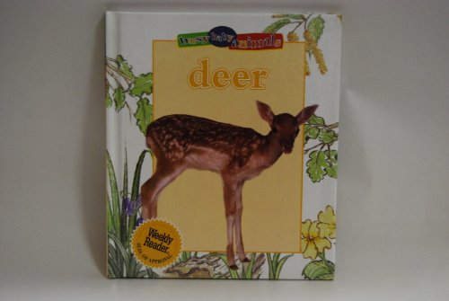 9780836829228: Deer (Busy Baby Animals)