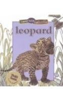 9780836829273: Leopard (Busy Baby Animals)