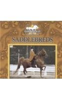 9780836829389: Saddlebreds (Great American Horses)