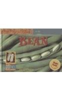 9780836829709: Bean (Life Cycles)