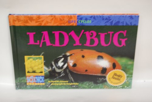 Stock image for Ladybug (Life Cycles) for sale by Irish Booksellers