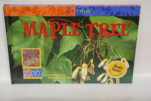 Imagen de archivo de Maple Tree a la venta por Better World Books