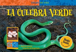 Stock image for LA Culebra Verde/ Green Snake (Life Cycles) (Spanish Edition) for sale by mountain