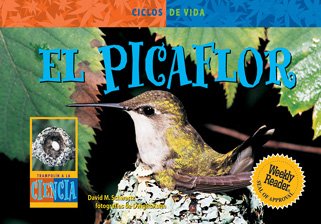 Imagen de archivo de El Picaflor (Hummingbird) a la venta por ThriftBooks-Atlanta