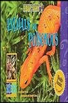 Stock image for Animals Are Poisonous (How & Why) for sale by Booksavers of MD