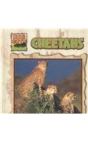 Stock image for Cheetahs (Big Cats) for sale by Once Upon A Time Books