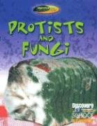 Imagen de archivo de Protists and Fungi a la venta por Better World Books