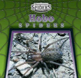 Beispielbild fr Hobo Spiders zum Verkauf von Better World Books