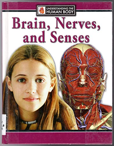 Beispielbild fr Brain, Nerves, and Senses (Understanding the Human Body) zum Verkauf von Irish Booksellers