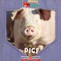 Pigs - JoAnn Early Macken